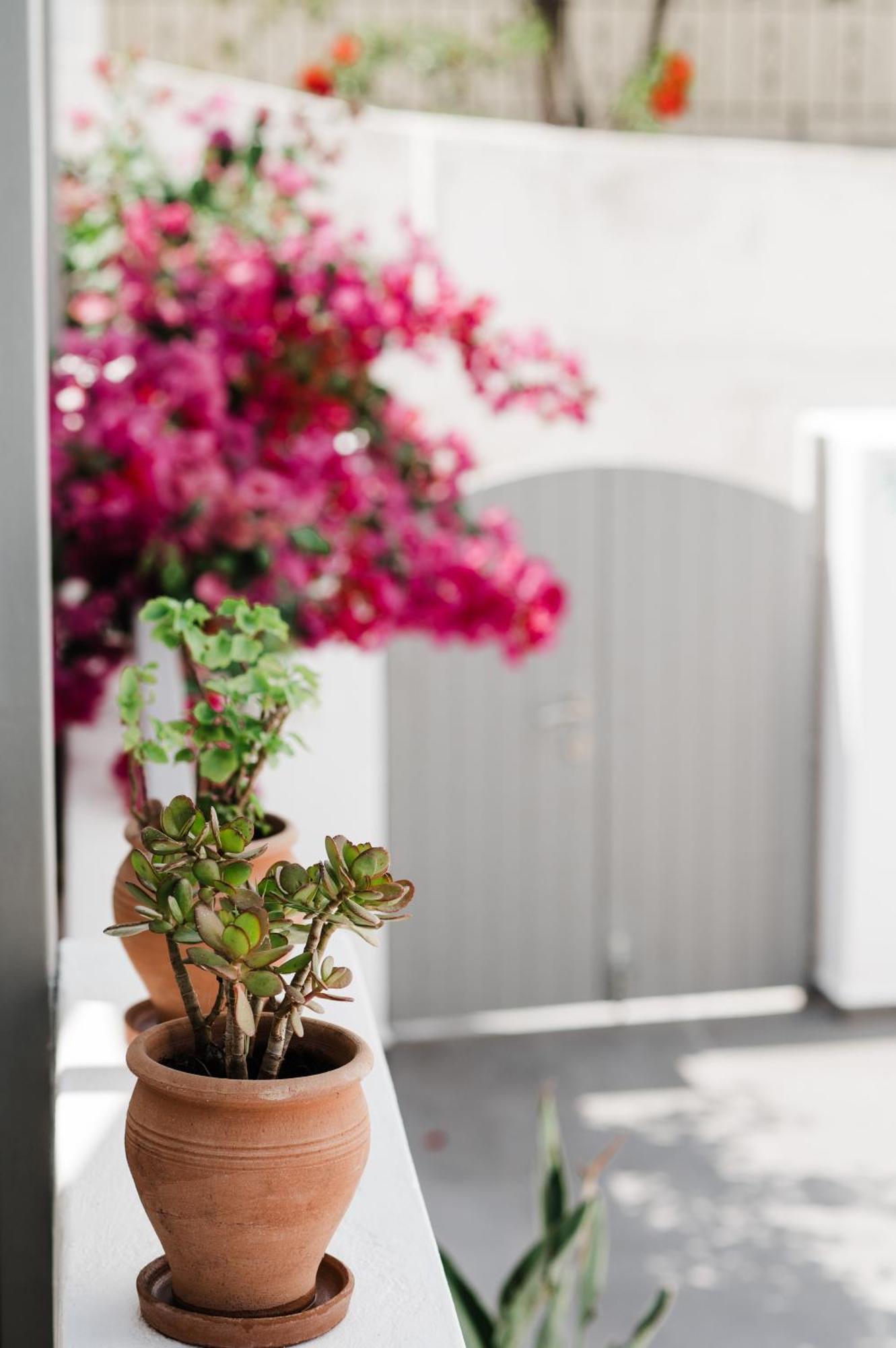 Amphitrite Suites Santorini Vothon Exterior photo